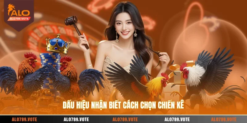 Dấu hiệu nhận biết cách chọn chiến kê